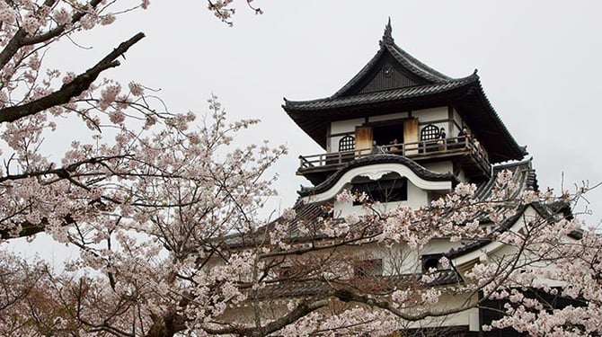 japan-shrine